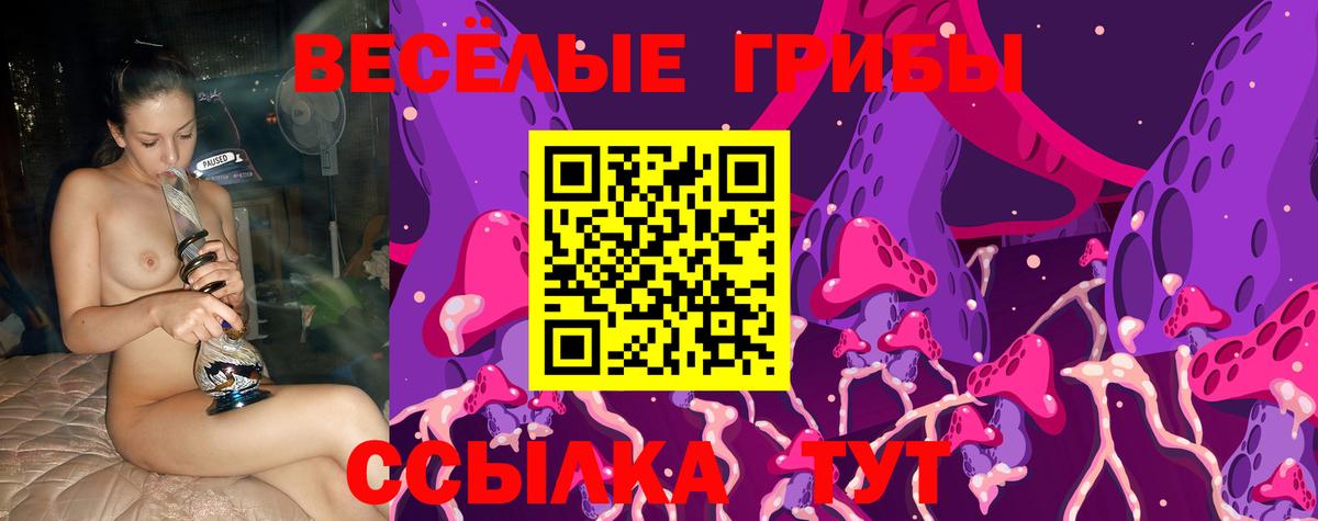 Псилоцибиновые грибы Psilocybe  Вход с VPN  Городец 